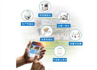 智能科技賦能 休閑農業中“體驗”產品的創新升級